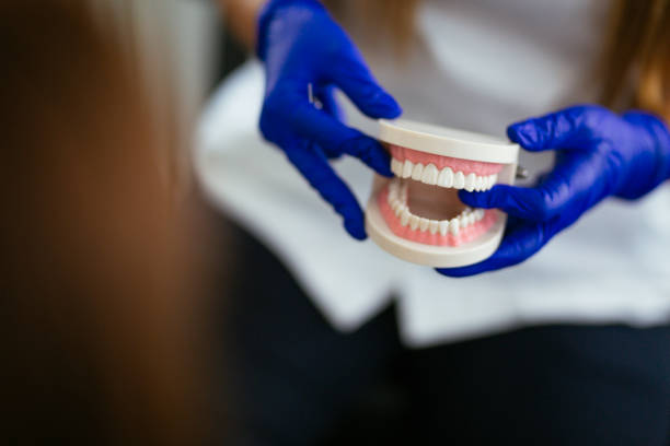 Reliable Hershey, PA Holistic Dental Care Services Solutions